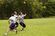 OTFL Gallery Image